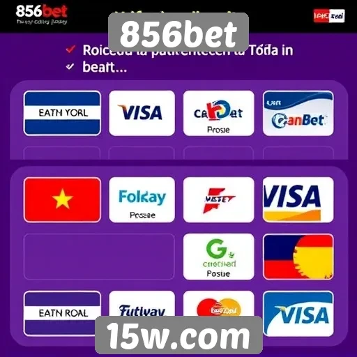 Métodos de pagamento aceitos no site 856bet